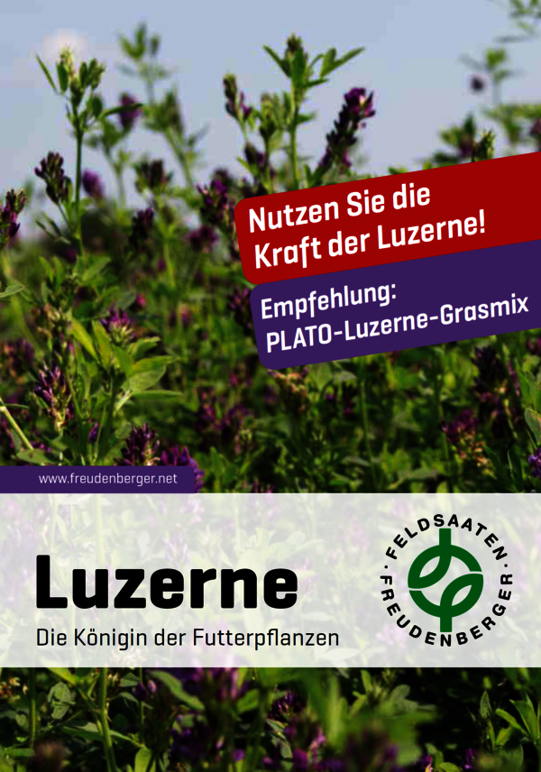 Luzerne.PNG