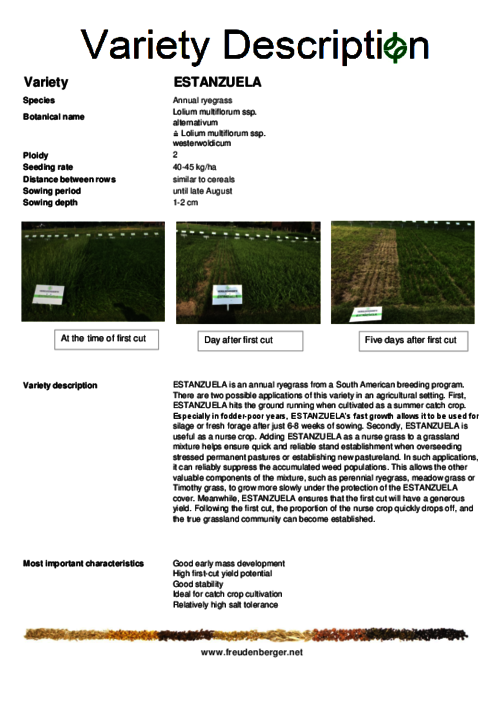 Variety_description_ESTANZUELA.pdf Variety_description_ESTANZUELA.pdf