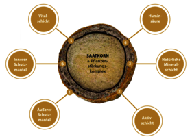 Schaubild_Aufbau_Mantelsaat.PNG Schaubild_Aufbau_Mantelsaat.PNG