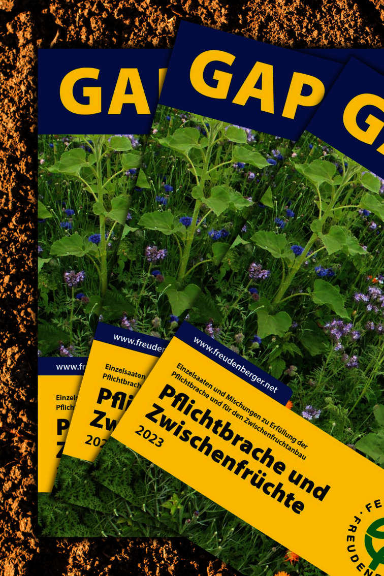 Header_News_ZW_GAP.png