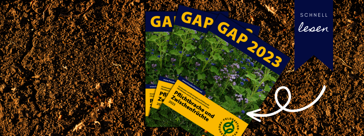 Header_News_ZW_GAP.png Header_News_ZW_GAP.png