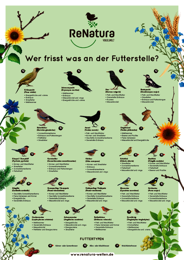 ReNatura_Vogelwelt_Poster.pdf ReNatura_Vogelwelt_Poster.pdf