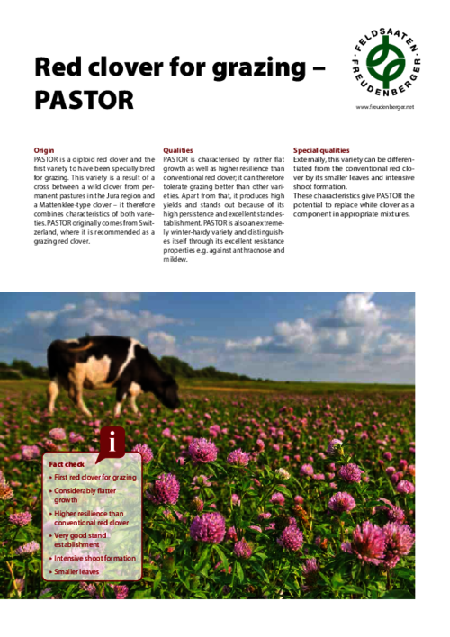 Article_Red_clover_for_grazing_PASTOR.pdf