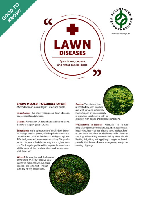 Article_Lawn_Diseases.pdf