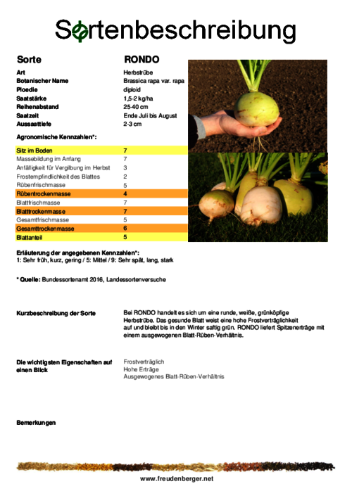 Sortenbeschreibung_RONDO.pdf