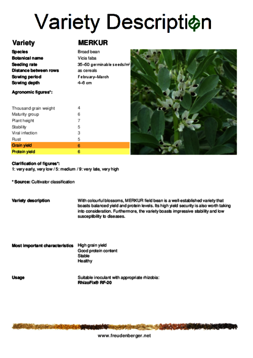 Variety_description_MERKUR.pdf