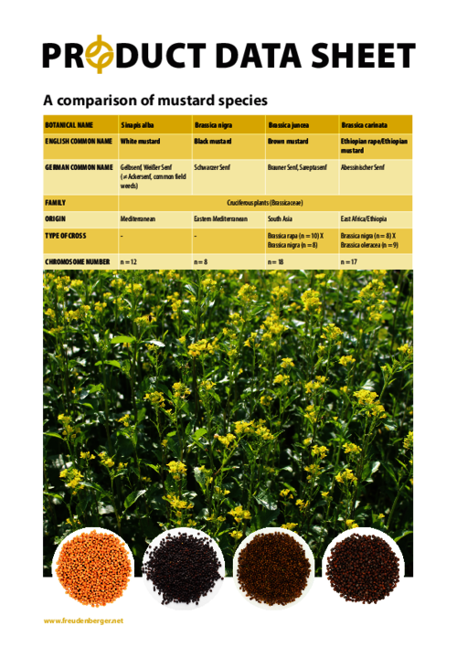 FF_Product_Data_Sheet_A_comparison_of_mustard_species.pdf