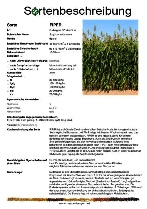 Sortenbeschreibung_PIPER.pdf