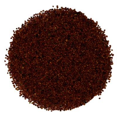 Michelisklee_Saatgut.png Michelisklee_Saatgut.png