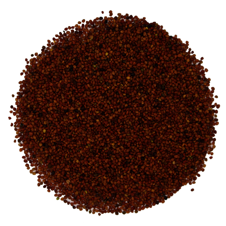 Michelisklee_Saatgut.png Michelisklee_Saatgut.png