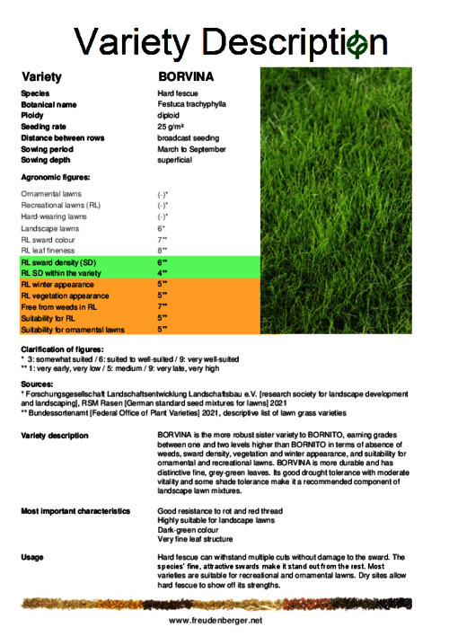 Variety_description_BORVINA.pdf