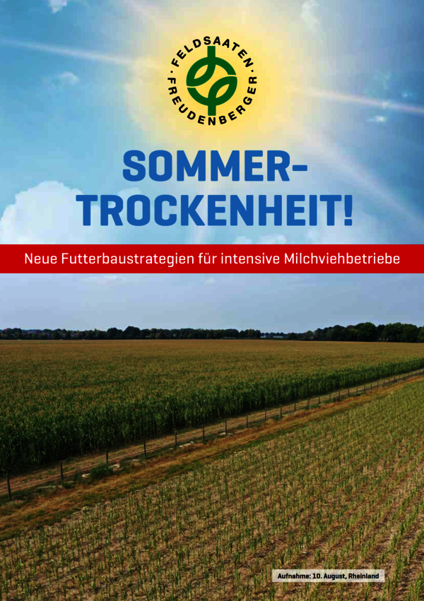 Sommertrockenheit.PNG
