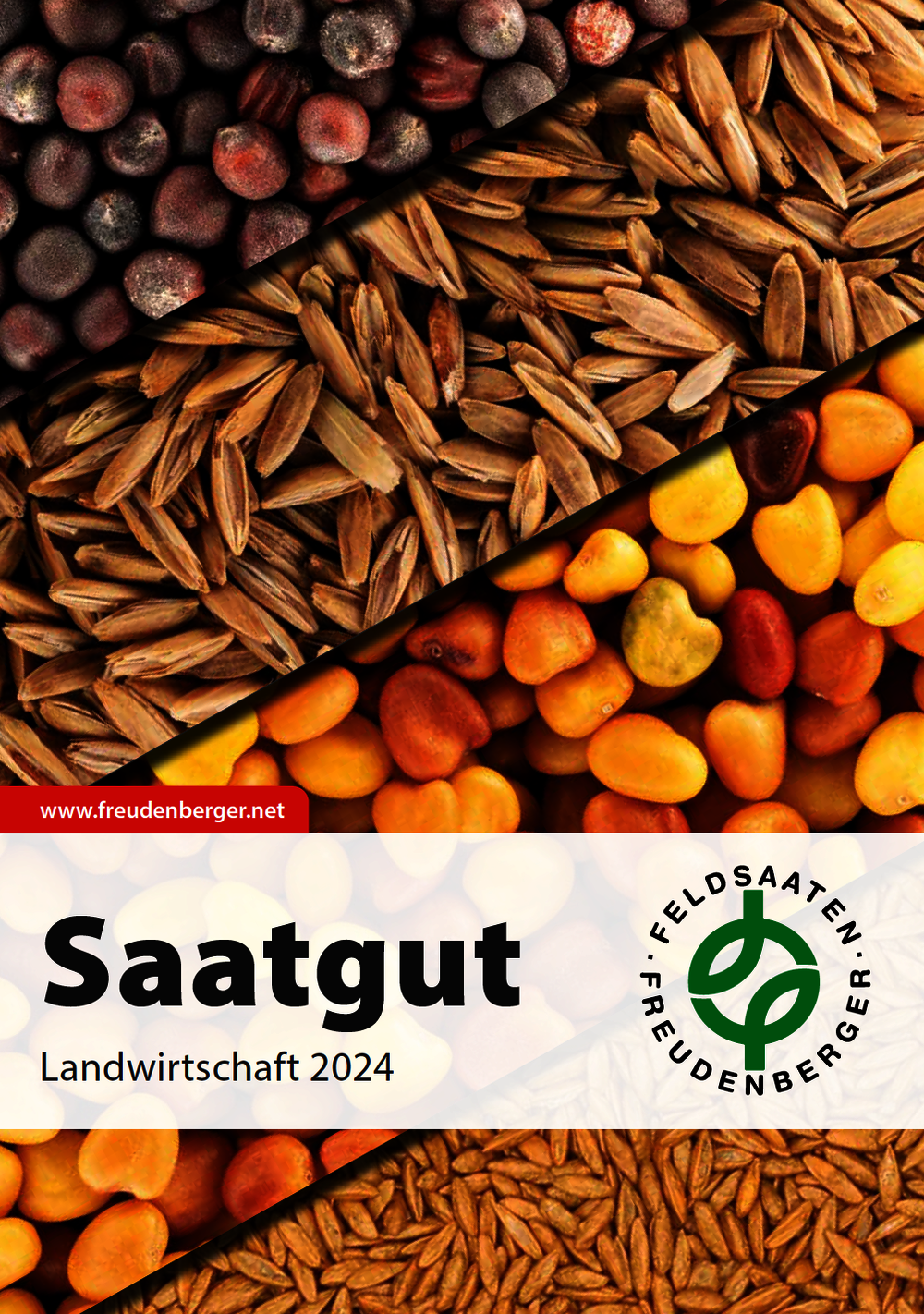 Katalog Saatgut Landwirtschaft 2024 Feldsaaten Freudenberger