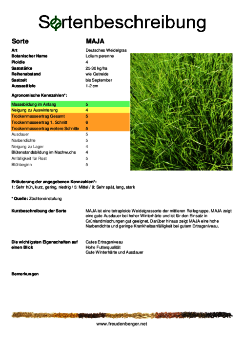 Sortenbeschreibung_MAJA.pdf