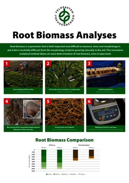 FF_Poster_Root_Biomass_Analyses.pdf