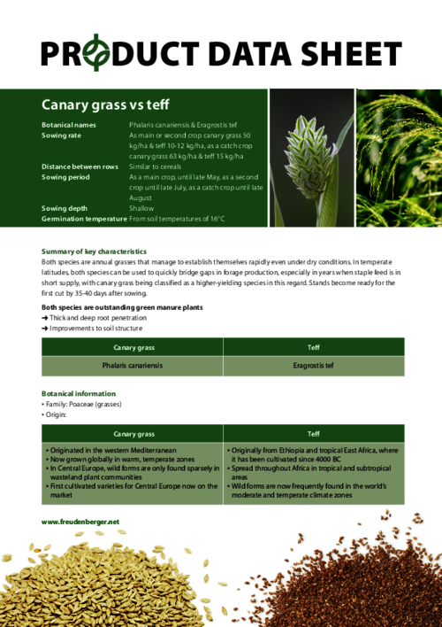 FF_Product_Data_Sheet_Canary_grass_vs._Teff.pdf
