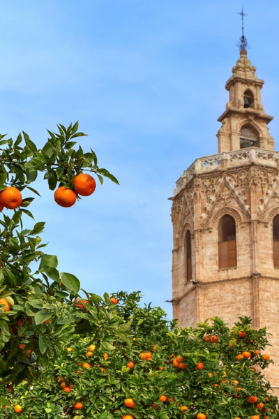 Euroseeds Congress 2026, Valencia Euroseeds Congress, 25.-28. Oktober 2026, Valencia