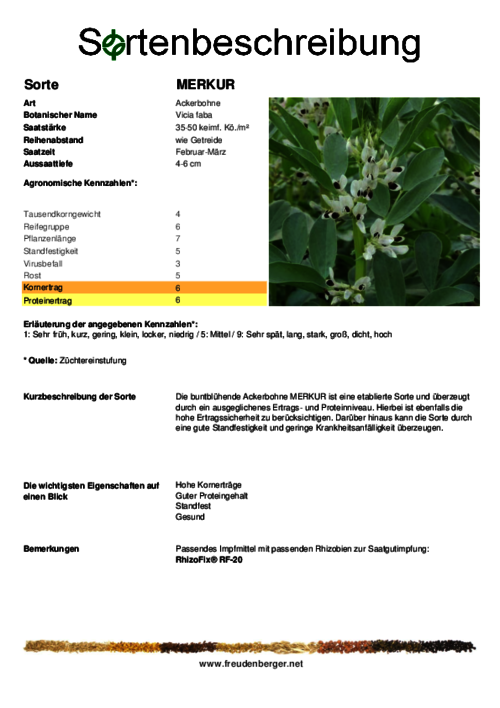 Sortenbeschreibung_MERKUR.pdf Sortenbeschreibung_MERKUR.pdf