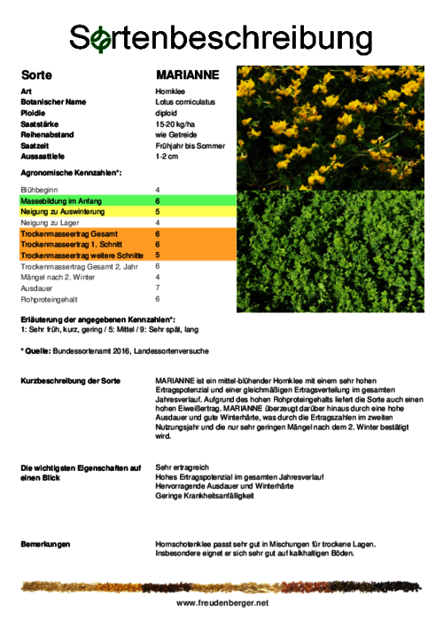 Sortenbeschreibung_MARIANNE.pdf