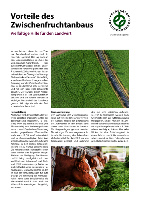 Artikel_Vorteile_Zwischenfruchtanbau.pdf
