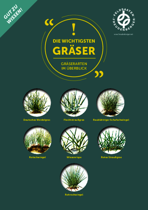 Artikel_Die_wichtigsten_Rasengraeser.pdf