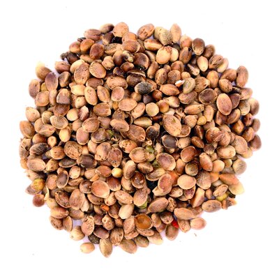 Futter-Hanf_rund_5cm.jpg