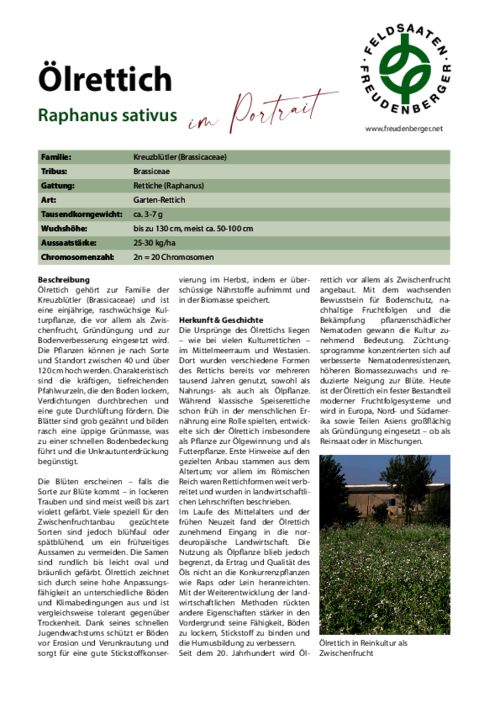 Artikel_Im_Portrait_OElrettich.pdf Artikel_Im_Portrait_OElrettich.pdf