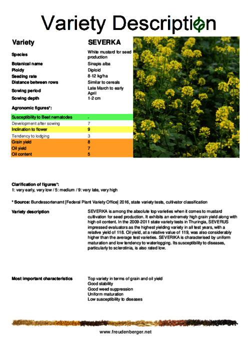 Variety_description_SEVERKA_for_seed_production.pdf