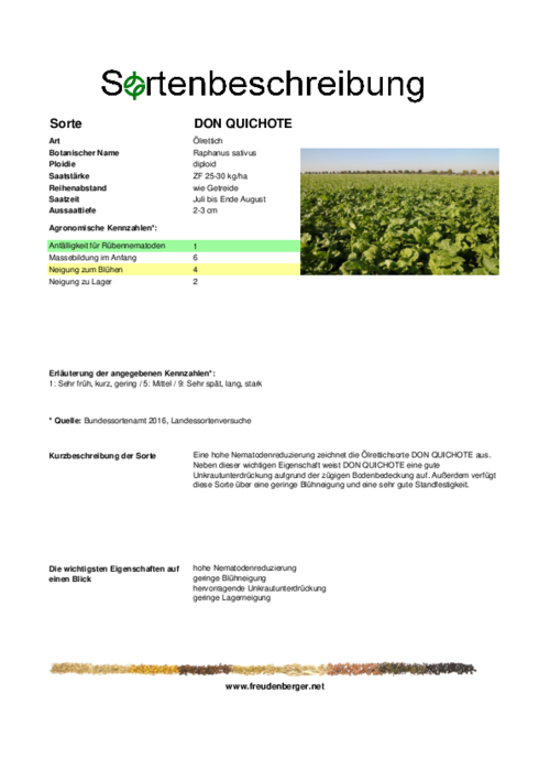 Sortenbeschreibung_DON_QUICHOTE.pdf