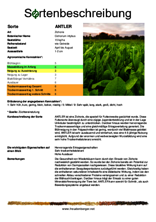 Sortenbeschreibung_ANTLER.pdf