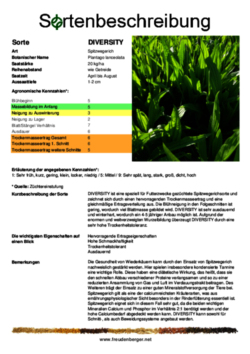 Sortenbeschreibung_DIVERSITY.pdf
