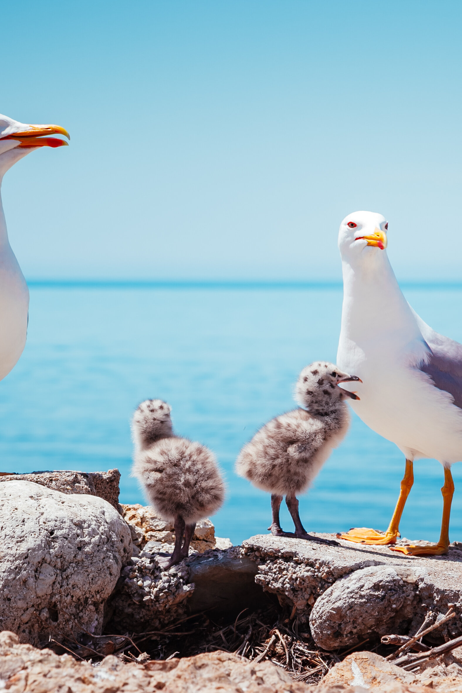 shutterstock_615175202.jpg