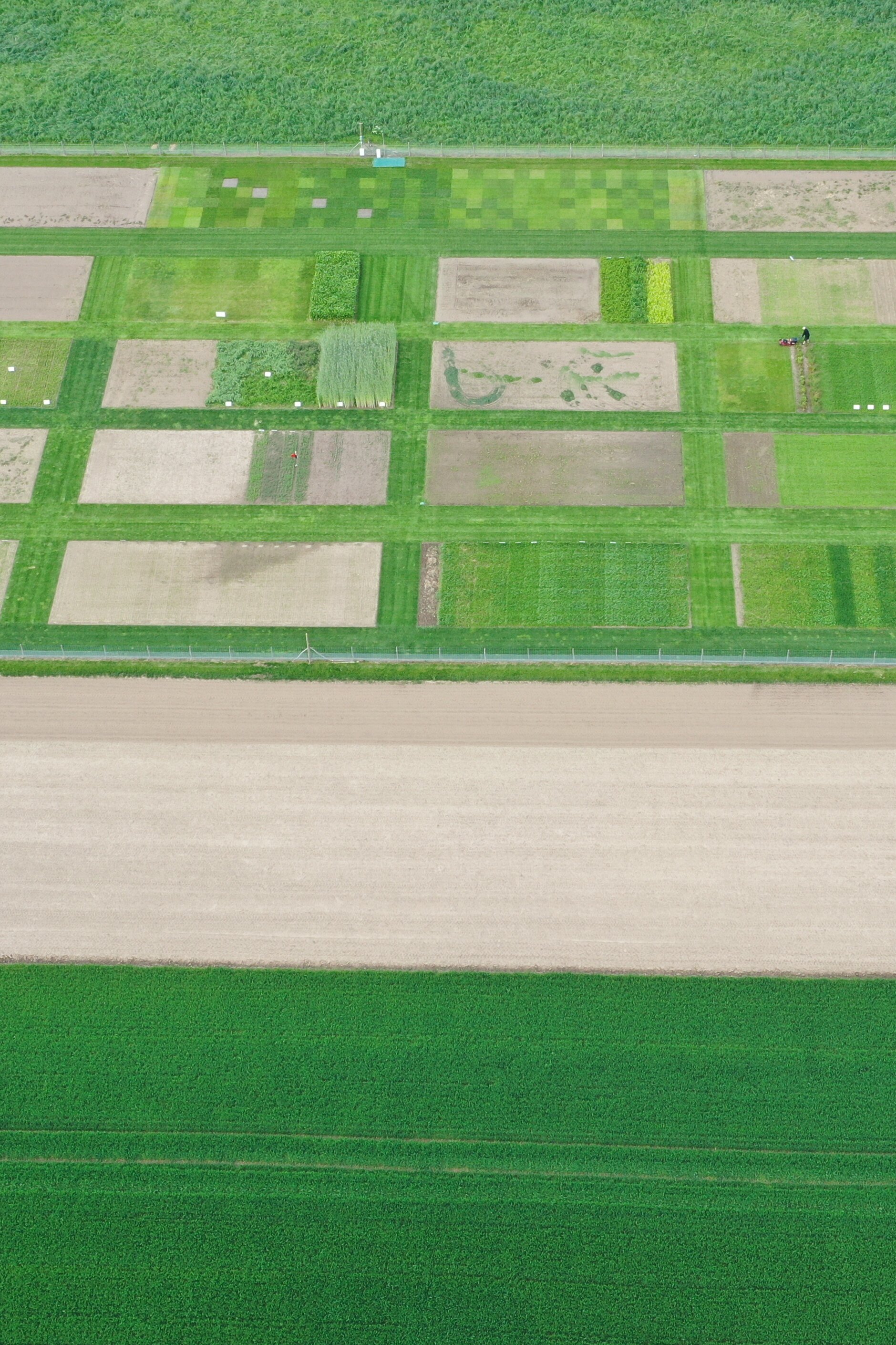 DJI_0701.JPG