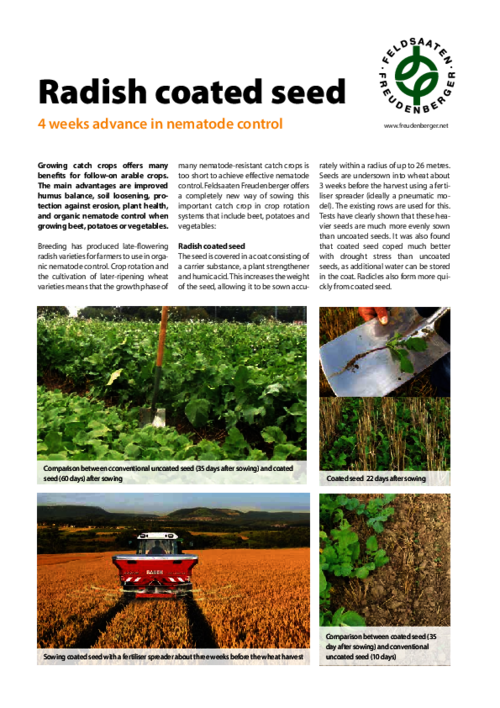 Article_Radish_coated_seed.pdf
