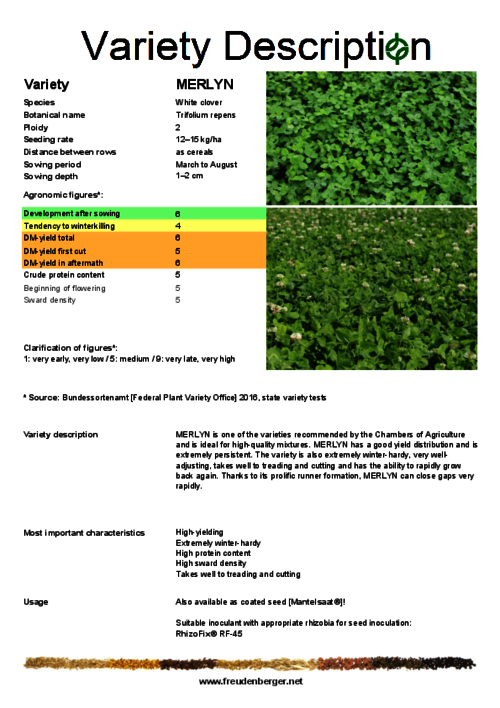 Variety_description_MERLYN.pdf