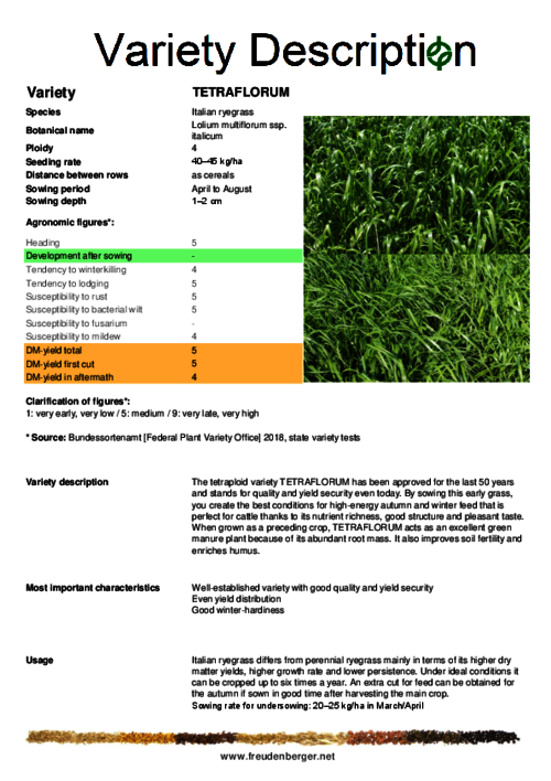 Variety_description_TETRAFLORUM.pdf