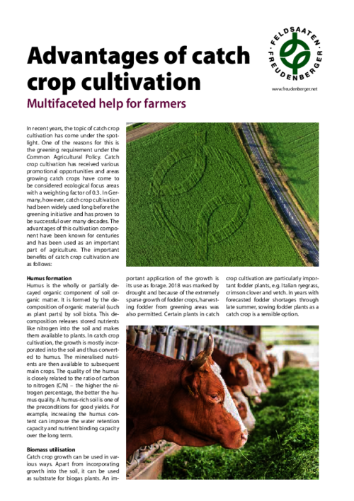 Article_Advantages_of_catch_crop_cultivation.pdf