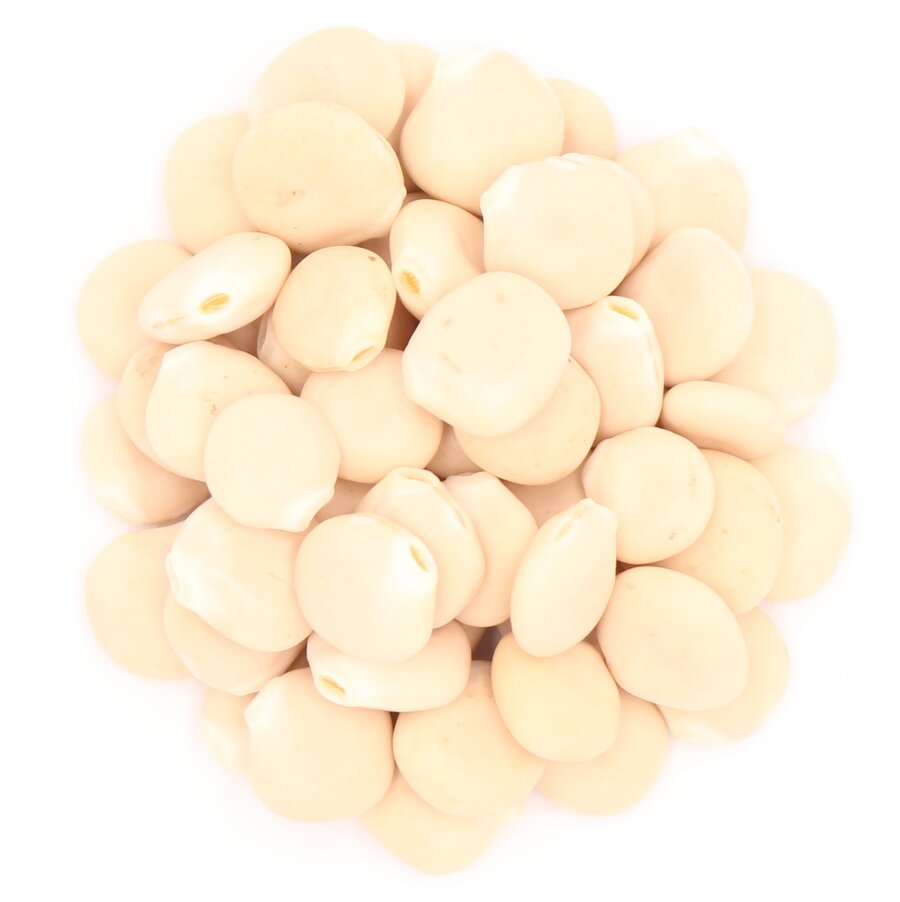 Weisse_Lupine_Saatgut.jpg