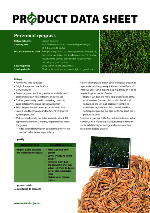 FF_Product_Data_Sheet_Perennial_ryegrass.pdf