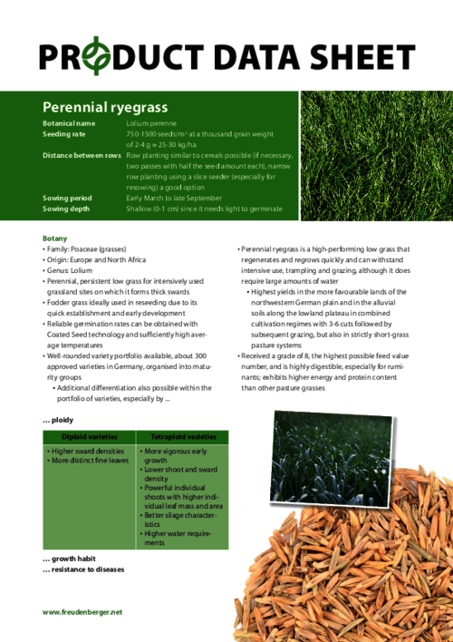 FF_Product_Data_Sheet_Perennial_ryegrass.pdf