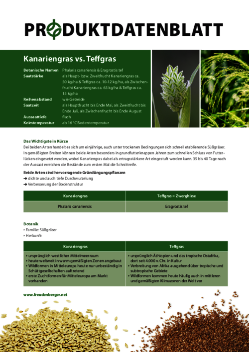 FF_Produktdatenblatt_Kanariengras_vs._Teffgras.pdf