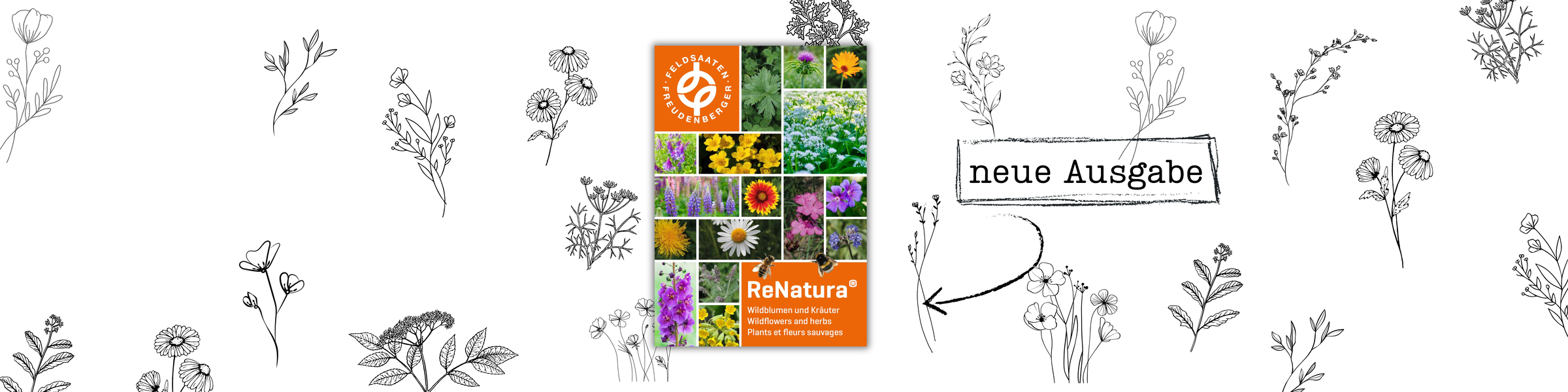 Header_LW_ReNatura_Katalog_2026.png