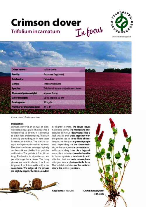 Articles_Species_in_focus_Crimson_clover.pdf