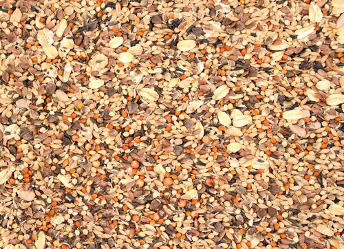 ReNatura_Feiner-Saemereienmix.jpg