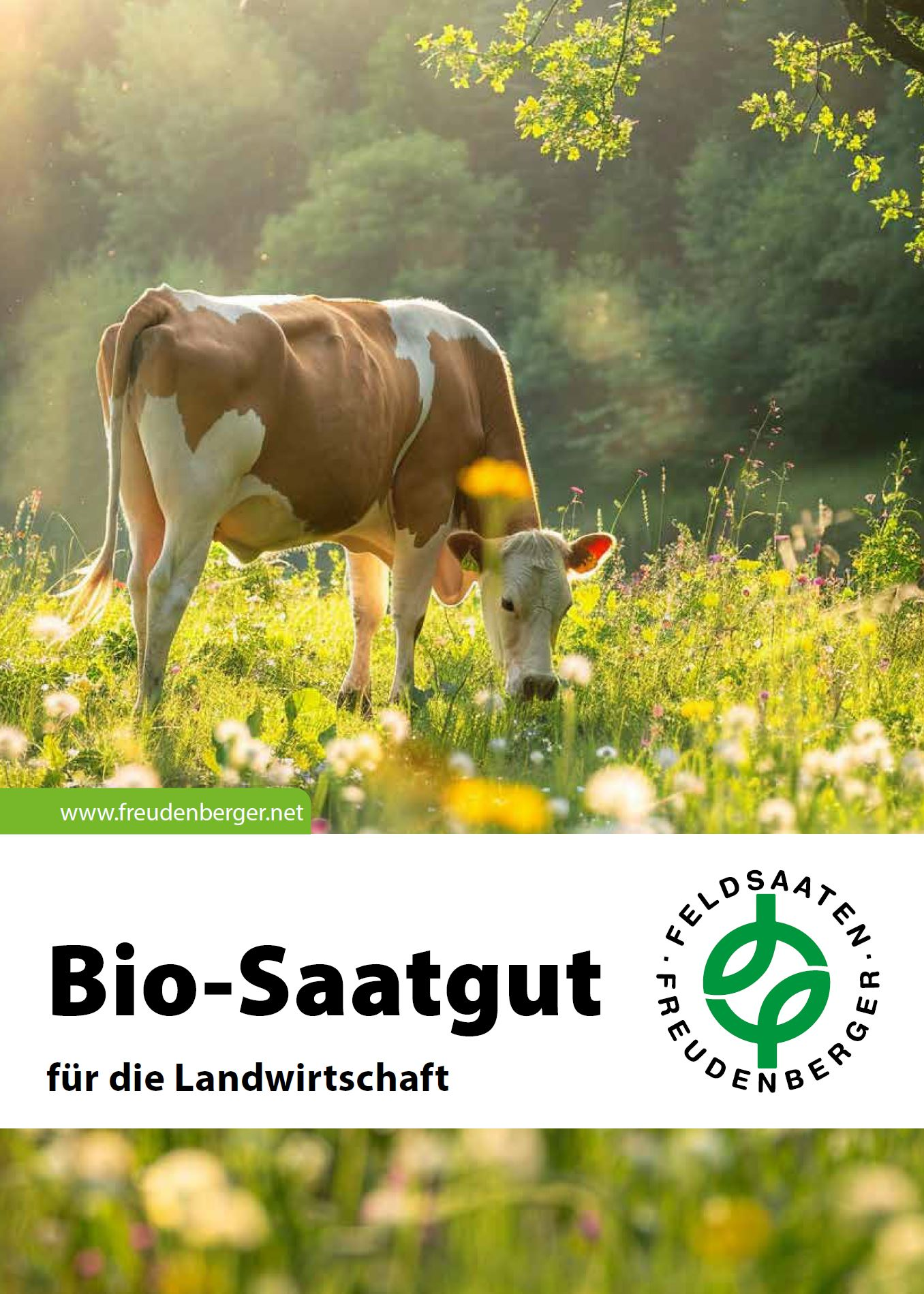Titel_Bio_Katalog.png