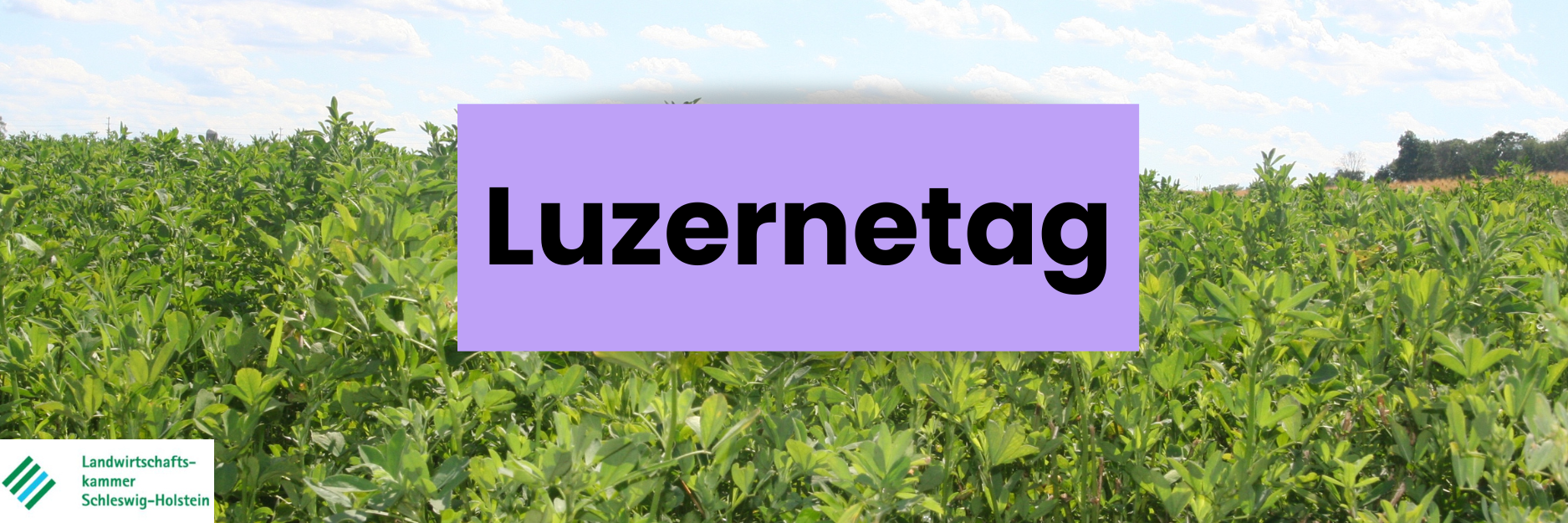 Luzernetag_LKSH__2_.png