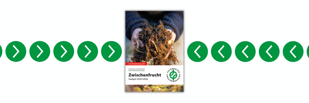 Header_News_ZWF_Prospekt_2025.png