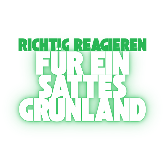 News_Duerre_Gruenlandpflege.png News_Duerre_Gruenlandpflege.png