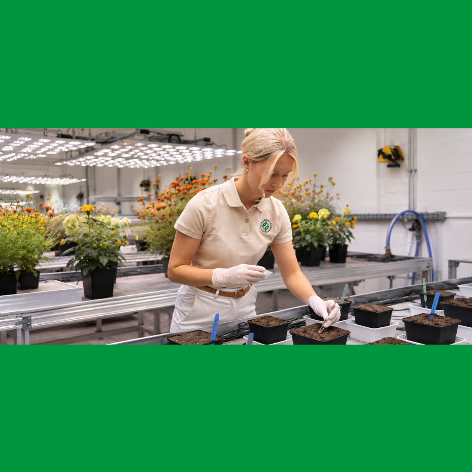 News_Ausbildung_FF__3_2.png News_Ausbildung_FF__3_2.png
