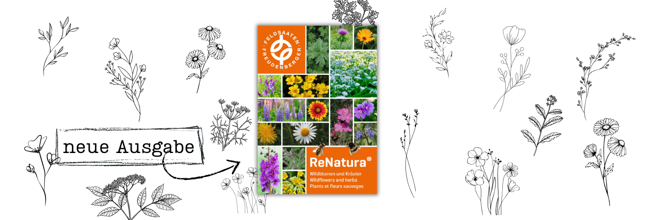 Header_News_ReNatura-Katalog_2026.png Header_News_ReNatura-Katalog_2026.png